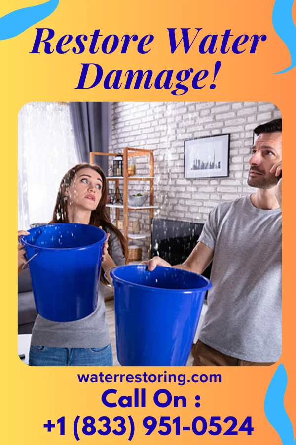 water restoration Premier Water Mitigation Force West Lafayette