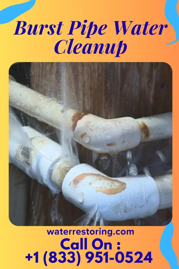 Burst Pipe Water Cleanup in West Lafayette, OH