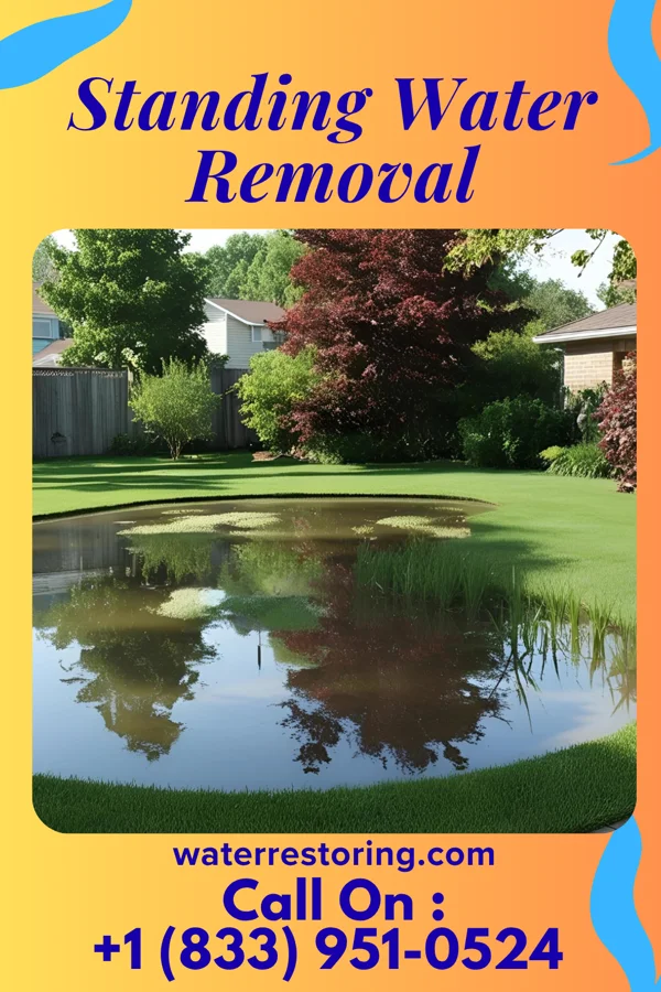 Standing Water Removal in West Lafayette, OH